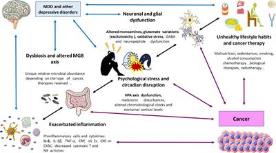 Understanding the basis of major depressive disorder in oncological patients: Biological links, clinical management, challenges, and <mark class="highlighted">lifestyle medicine</mark>
